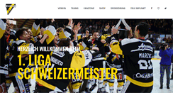 Desktop Screenshot of ehcw.ch